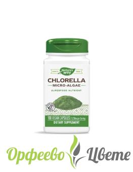 ХРАНИТЕЛНИ ДОБАВКИ Висок холестерол  Chlorella Micro-Algae/ Хлорела (микро-водорасли) 410 mg х 100 капсули